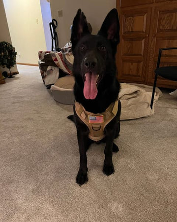 Customer photo of Waylon, from Raymond K.