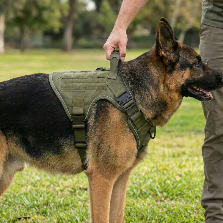 A hand on the top handle of an Olive Drab Green Team K9 harness on a German Shepherd
