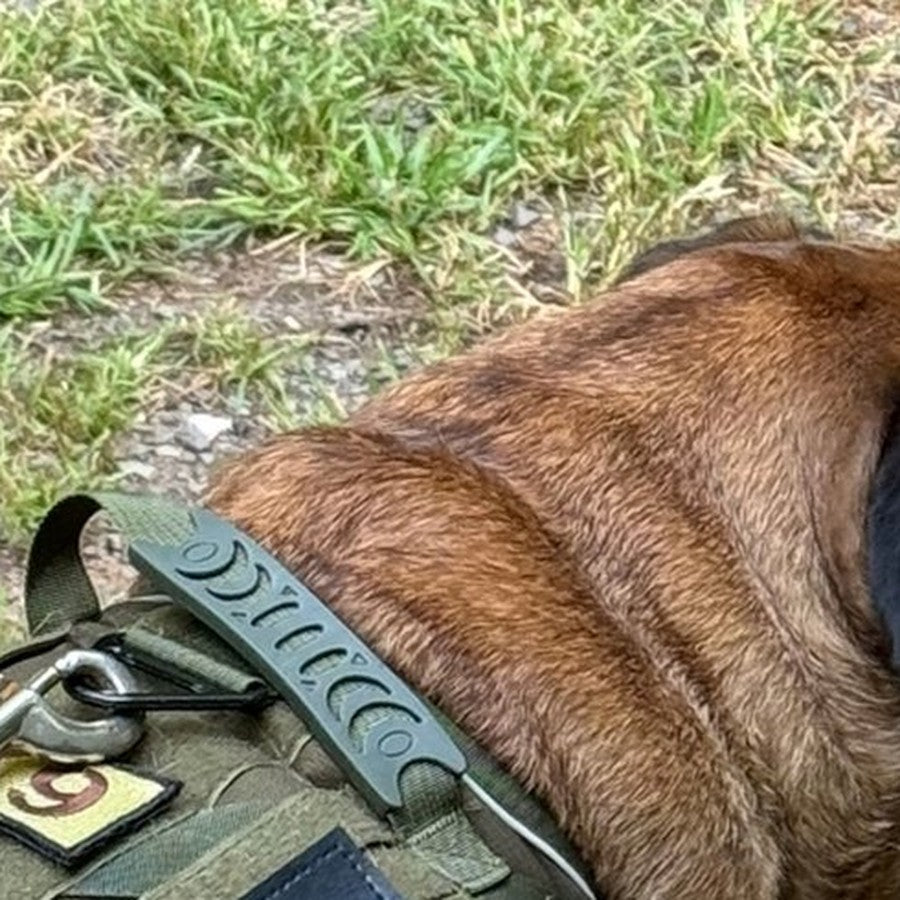 Customer photo from Jennifer M.: Gilbert, her 142 lb Bull Mastiff, in an Olive Drab Green Team K9 harness