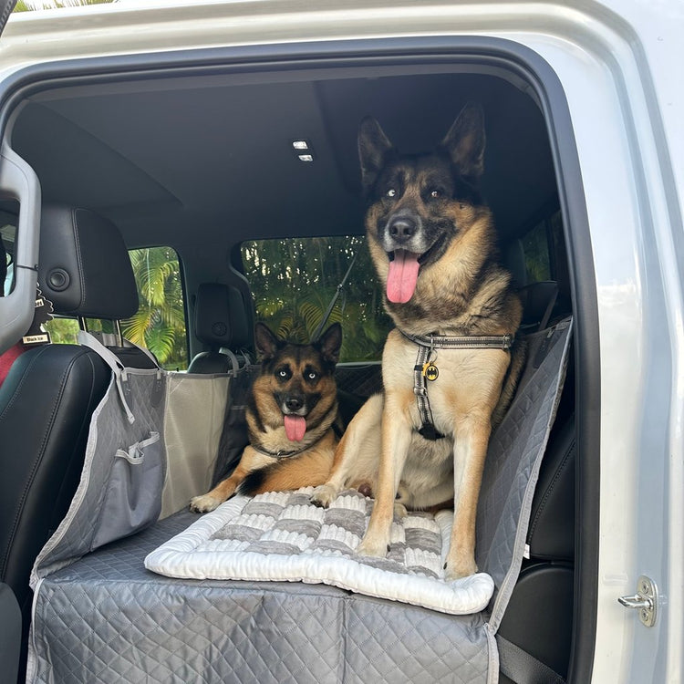 Two German Shepherds on a Team K9 plush bed and hard bottom cover in a truck
