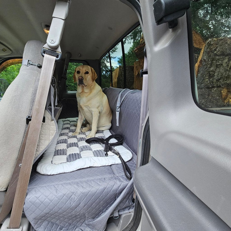 Yellow Labrador sitting on a Team K9 plush bed on the hard bottom cover in a pickup