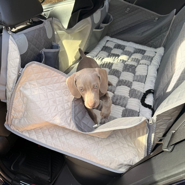 Weimaraner puppy on a Gray Team K9 plush bed in the back seat