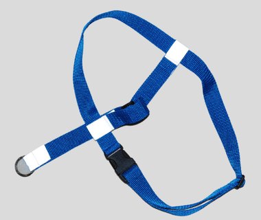 A normal strap dog halter