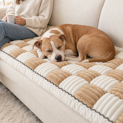Pit bull mix asleep on a Beige Team K9 couch cover