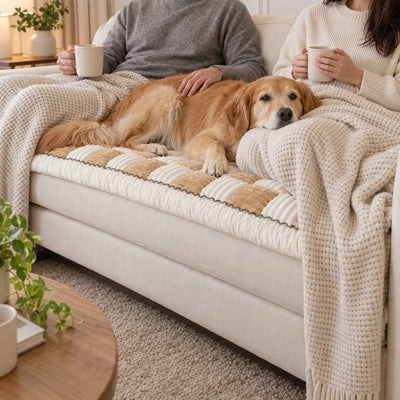 Golden Retriever lying between two people on a Beige Team K9 couch cover