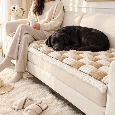 Black Labrador curled up asleep on a Beige Team K9 couch cover