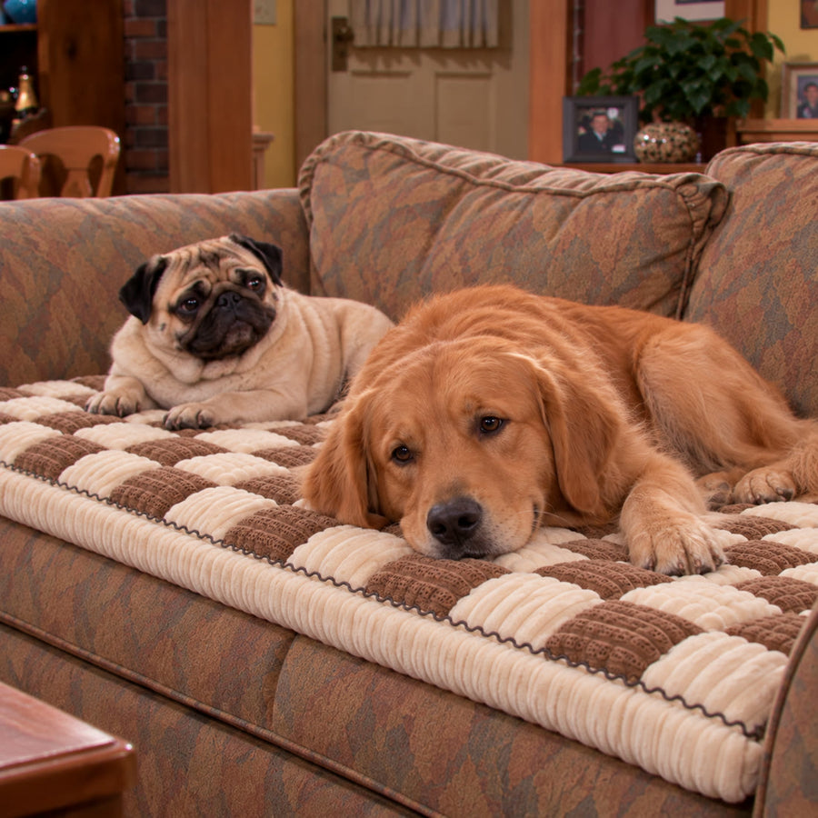 Golden retriever resting on the Brown plush cover with a pug beside it