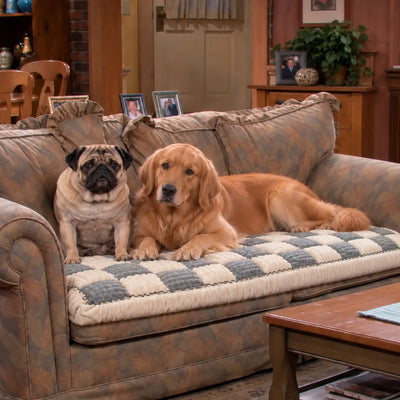 Two dogs relaxing on the Gray couch cover