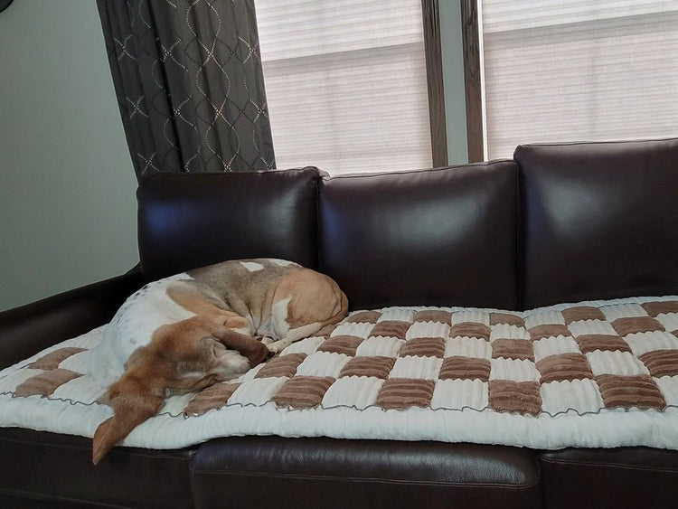 Basset Hound lying on a Brown Team K9 couch cover on a dark leather sofa