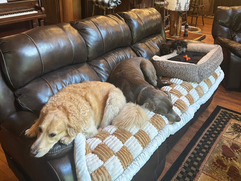Customer photo from Lisa S.