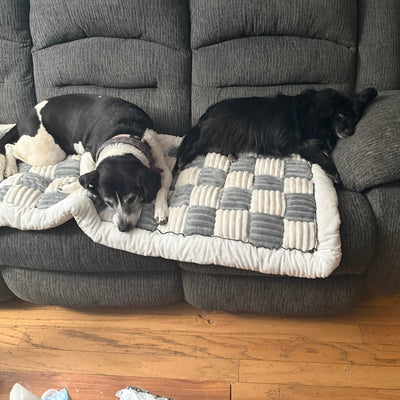 Customer photo from Sue F.: two dogs on a Gray Team K9 couch cover on a reclining sofa