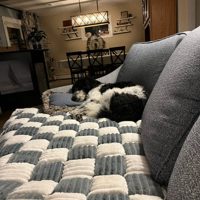 Customer photo from Debbie M.: her pup on a Gray Team K9 couch cover