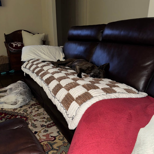 Customer photo from Georgia H.: a Brown Team K9 couch cover on a leather sofa