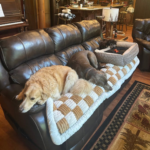 Dogs napping on a Team K9 couch cover on a leather sofa