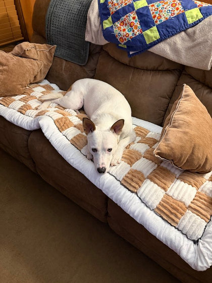 Customer photo from Dawn C.: Beige