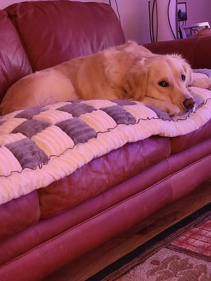 Customer photo from Patricia G.: Golden Retriever