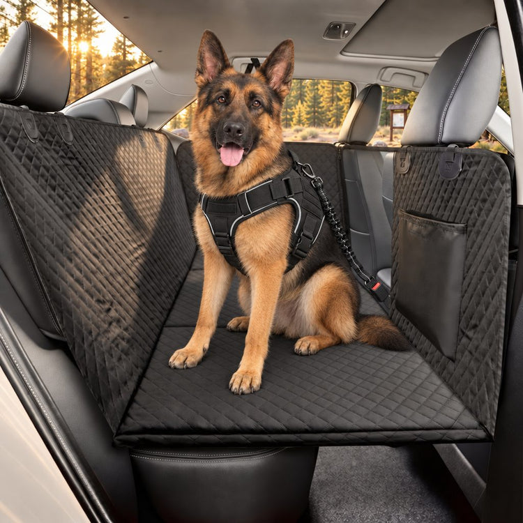 German shepherd sitting on the seat cover with the free safety belt clipped to its harness