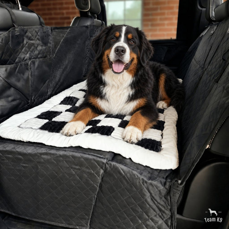 Bernese mountain dog lying on the plush checkered bed on the seat cover