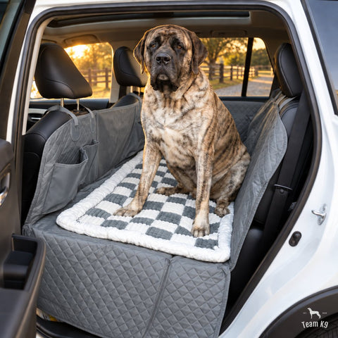 Mastiff sitting on the plush bed on the gray seat cover