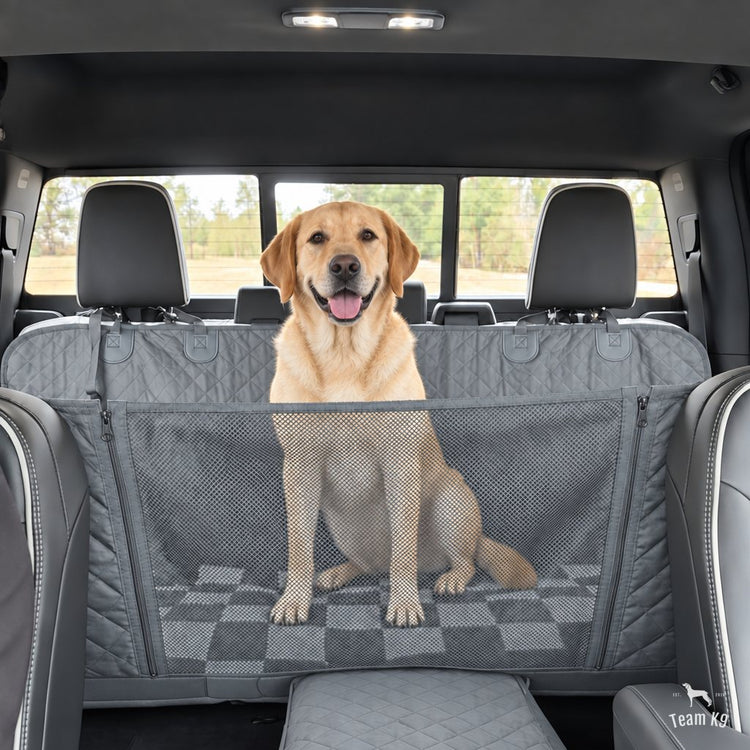 Labrador sitting on the seat cover, seen from the front seats through the mesh window