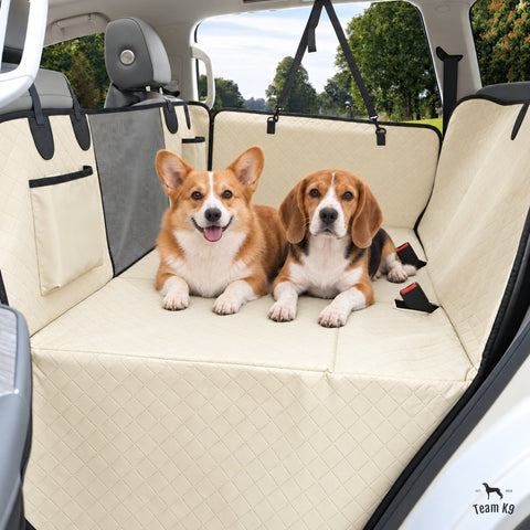 Corgi and beagle lying on the beige seat cover