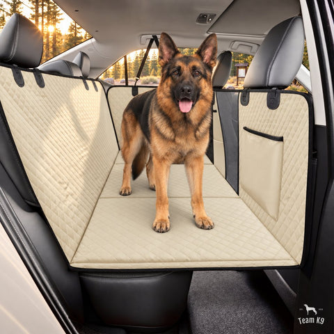 German shepherd standing on the beige seat cover