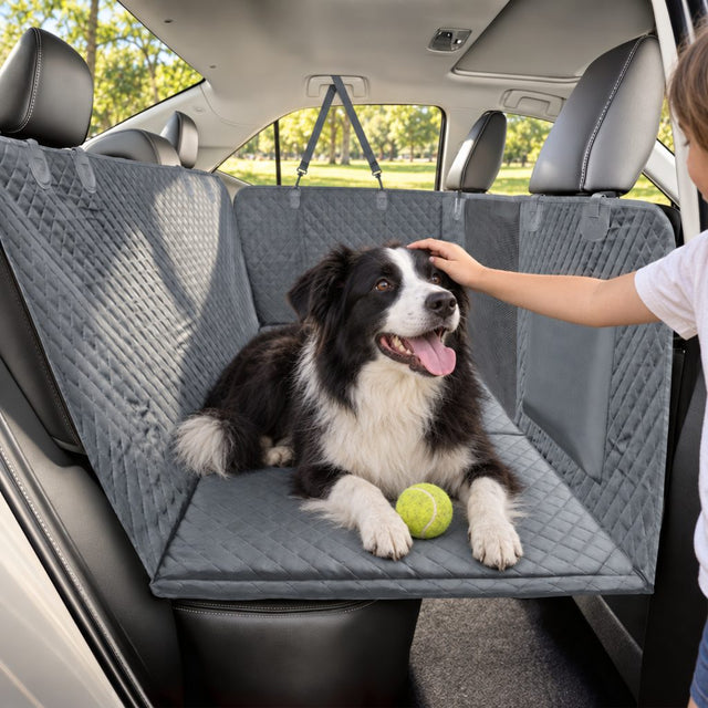 Border collie lying on the gray hard bottom seat cover in a back seat while a child pets it