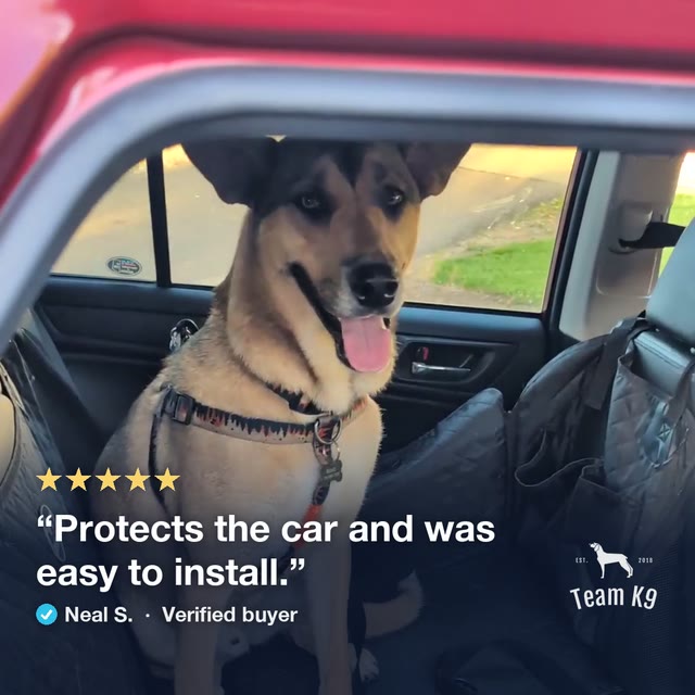Hard Bottom Seat Cover in use