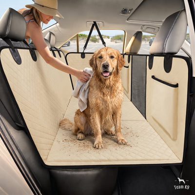 Sandy golden retriever being towelled off on the beige seat cover after the beach