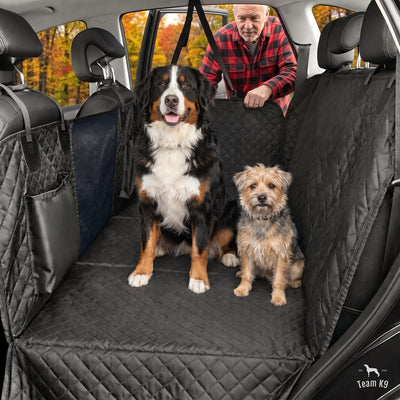 Bernese mountain dog and a terrier sitting on the black seat cover