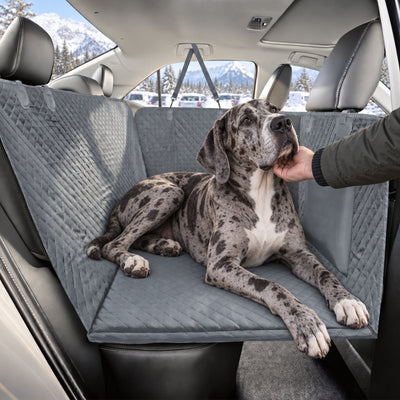 Great Dane lying across the gray seat cover on a snowy day