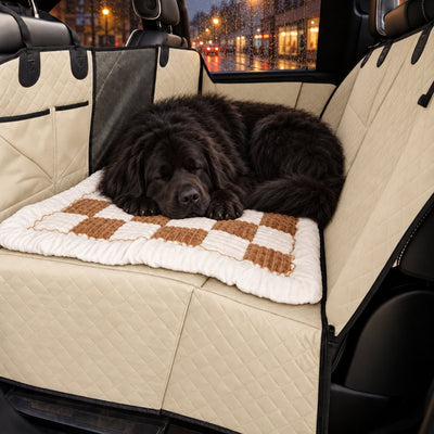 Black Newfoundland asleep on the plush bed on the beige seat cover