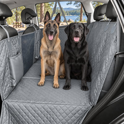 Belgian Malinois and black Labrador sitting on the gray seat cover at a lakeside campsite