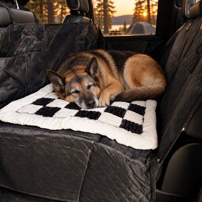 Senior German shepherd asleep on the plush bed on the black seat cover