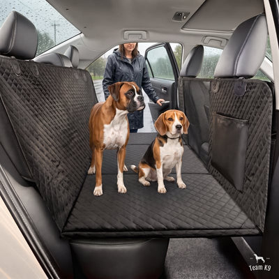 Boxer and beagle on the black seat cover on a rainy day