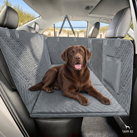 Chocolate Labrador lying on the gray seat cover
