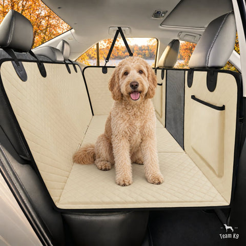 Goldendoodle sitting on the beige seat cover