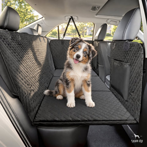 Australian shepherd puppy sitting on the black seat cover