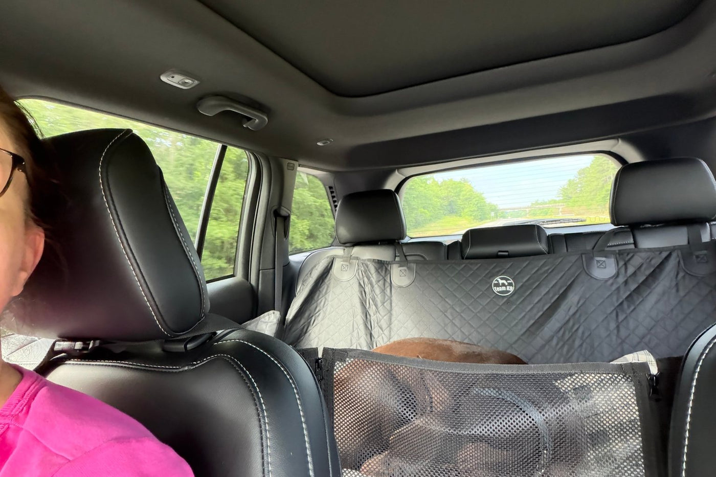 Customer photo from Lisa M.: her dog riding behind the mesh window of a Black Team K9 seat cover