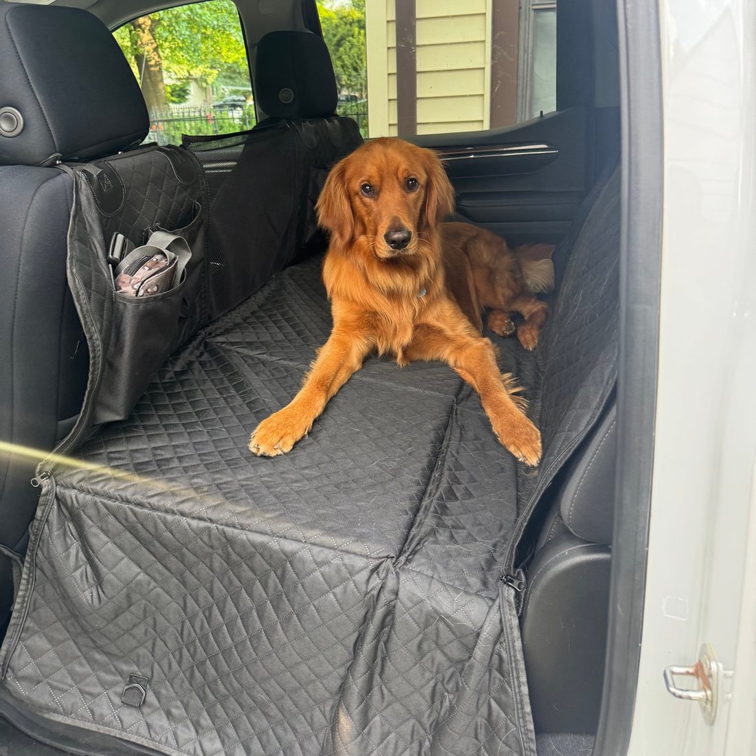 Dog riding on a Team K9 hard bottom seat cover in the back seat