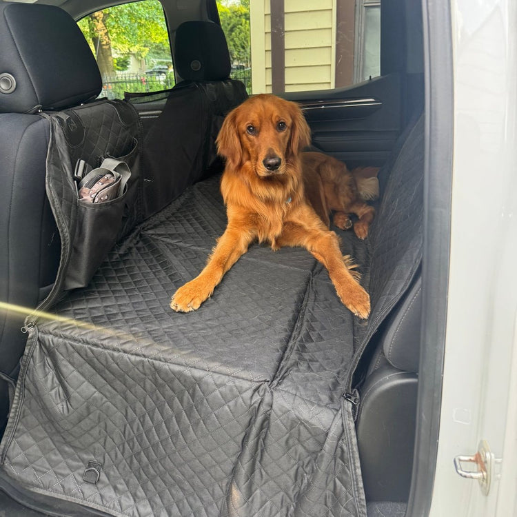 Customer photo from Zachary L.: his Golden Retriever on a Black Team K9 seat cover in a truck