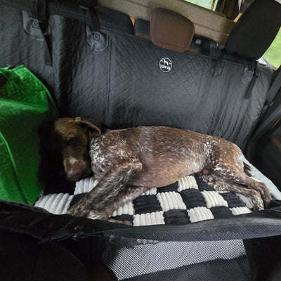 Customer photo from Mark A.: his dog lying on a Black Team K9 seat cover
