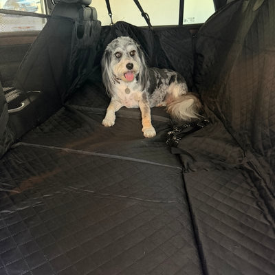Customer photo from Cindy L.: her dog Cali on a Black Team K9 seat cover