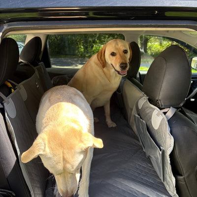 Customer photo from Donald P.: two Labradors on a Gray Team K9 seat cover