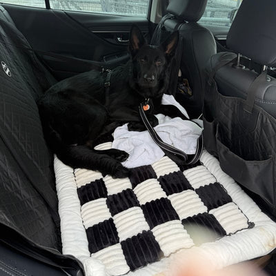 Customer photo from Kelly Z.: her German Shepherd asleep on the plush bed on a Black Team K9 seat cover