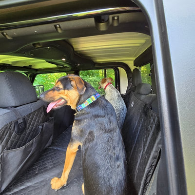 Customer photo from Bryan S.: his dog on a Black Team K9 seat cover in a Jeep