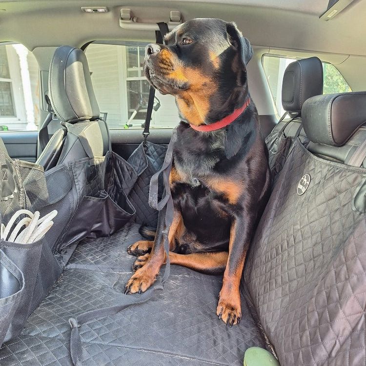 Rottweiler sitting on a Black Team K9 hard bottom seat cover