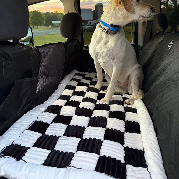 Customer photo from Rich M.: his dog Madison on the plush bed on a Black Team K9 seat cover