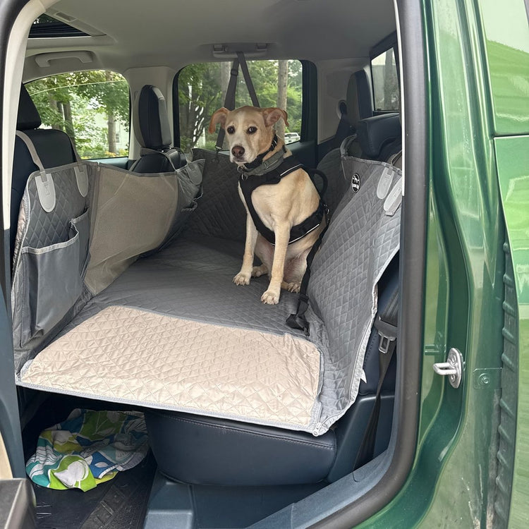 Customer photo from Jaye P.: her dog on a Gray Team K9 seat cover, clipped in with the safety belt
