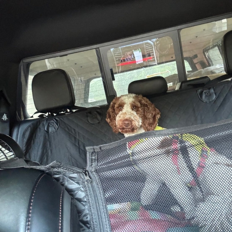 Customer photo from Patricia M.: her dog Tucker behind the mesh window of a Black Team K9 seat cover